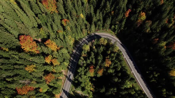 Aerial Shot of Beautiful Mountains with Coniferous Wood