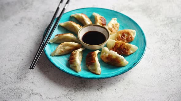 Traditional Asian Dumplings Gyozas on Turqoise Ceramic Plate