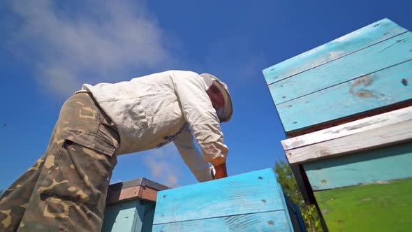Beekeeper looks into hive. Apiarist working with bee frames against blue sky. 