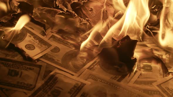 many Hundred dollar bills scattered on the floor are burned, close-up. Lot of hundreddollar bills