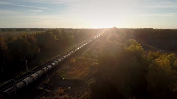 Aerial Freight Trains Move in Opposite Directions in Wood