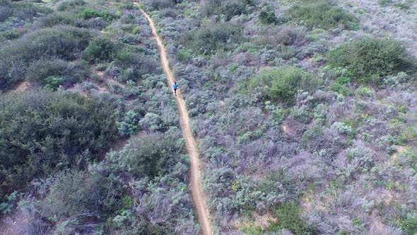 Aerial shot of a young man trail running on a scenic hiking trail.