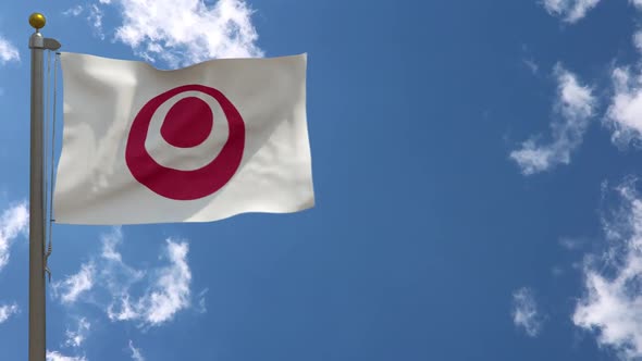 Okinawa Prefecture Flag Japan On Flagpole