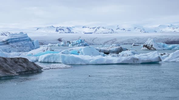 Beautiful View of Icebergs Floating in Glacier Lagoon