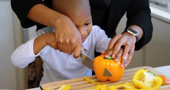 Mother and son chopping vegetables in kitchen at home 4k