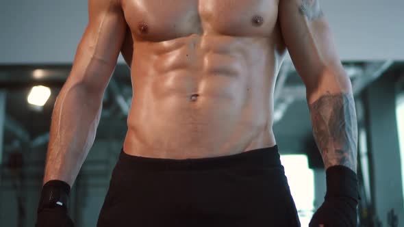 Close Up Muscular Male Sport Body in Gym