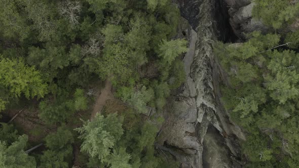 Drone shot flying to the right facing the camera down, flying over a forest and canyon with water go