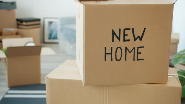 Cardboard Box with New Home Label Inside Beautiful New Apartment