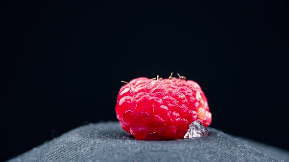 Timelapse Raspberry Freezes in a Piece of Ice