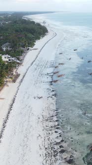 Vertical Video of the Ocean Near the Coast of Zanzibar Tanzania