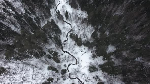 Aerial view of a wild cold winter forest