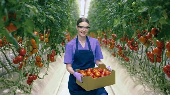 One Woman Smiles While Holding a Basket with Tomatoes.