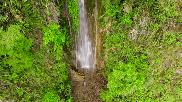 A Stream of Water From a Cliff in the Jungle