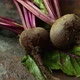 Beetroots with Green Haulm on the Black Rustic Background - VideoHive Item for Sale