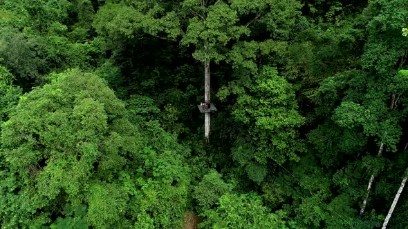 Aerial shot of a zip wire adventure trail in a forest in Costa Rica