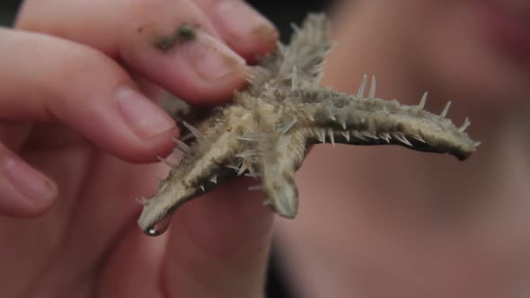 Close up of woman holding a small starfish.