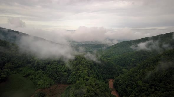 Logistic concept aerial view of countryside road passing through the serene lush greenery and foliag