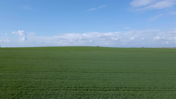 Fields At Sdot Negev Israel Community