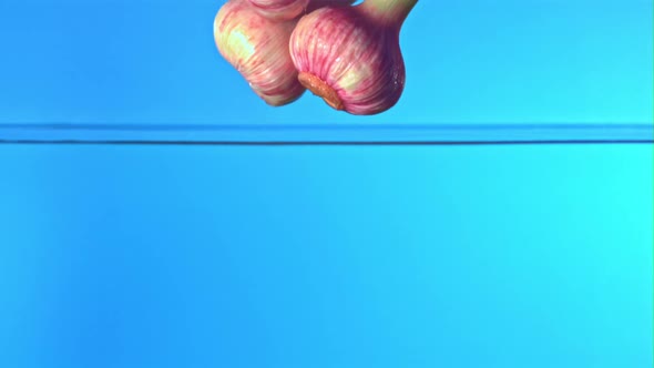 Super Slow Motion Fresh Garlic Falls Into the Water with Splashes on a Blue Background