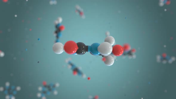 Thymine a Part of DNA Plastic Molecule Model