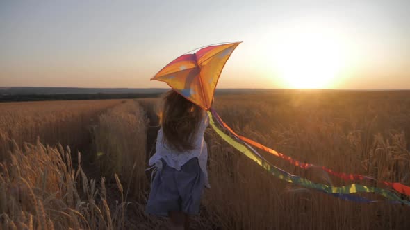 Pretty Girl Playing with Kite in Wheat Field on Summer Day. Childhood, Lifestyle Concept.