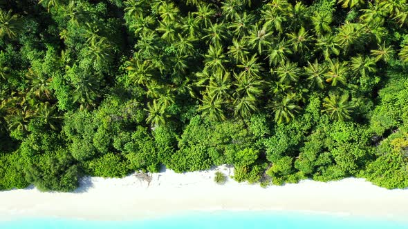 Natural drone copy space shot of a white sandy paradise beach and aqua turquoise water background