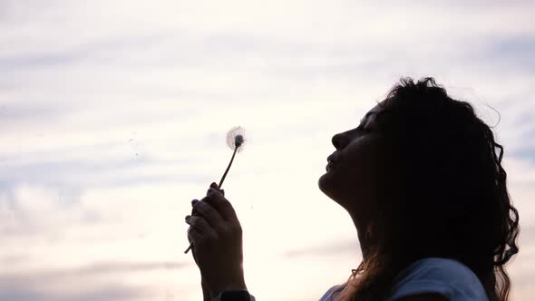 Portrait of a Beautiful Young Woman Blowing on a Ripe Dandelion in the Evening Against the Backdrop