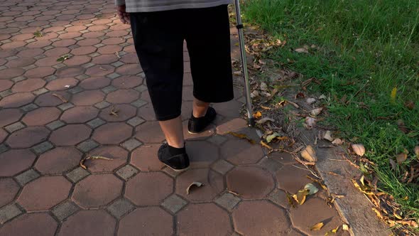 close up senior woman legs walking with walking stick in the park
