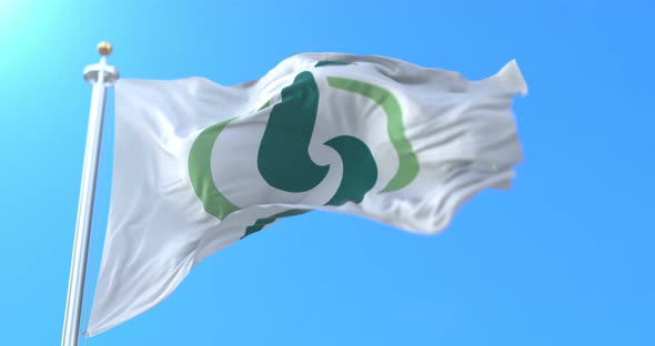 Saitama City Flag, Japan