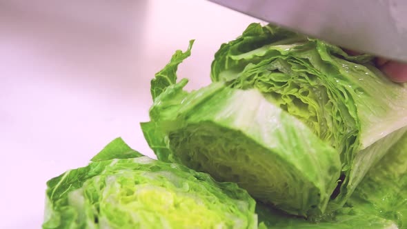 Chef cutting Chinese cabbage in kitchen