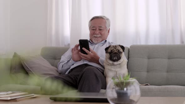 An Asian Elderly video call with smartphone on the sofa on a relaxing day.