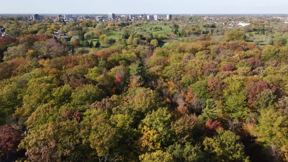 Beautiful aerial shot of forest in fall outside city.