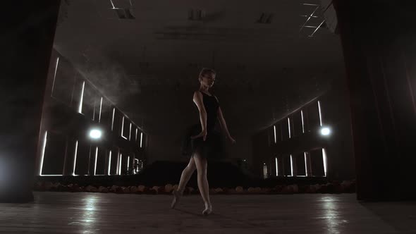 Young Beautiful Ballerina On Smoke Stage Dancing Modern Ballet