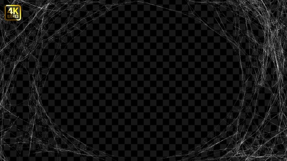 Spider Web Background alt