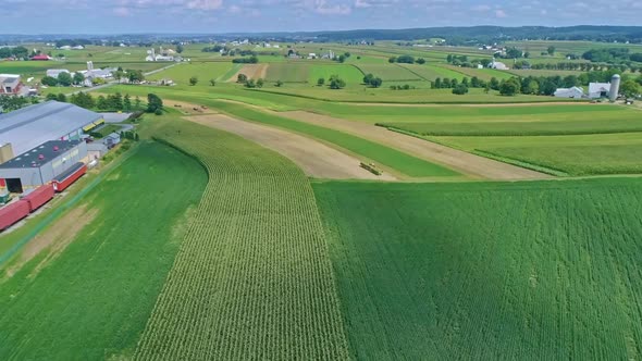 Aerial Traveling View of Corn Fields and Harvesting Crops, with Patches of Color