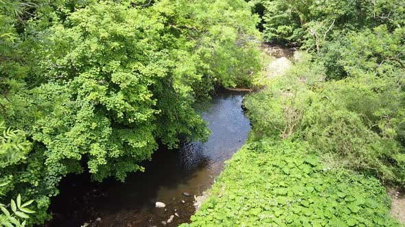 Woodland river scene filmed in the Derbishire Peak District Drone footage