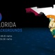Florida State Election Backgrounds 4K - 7 Pack - VideoHive Item for Sale