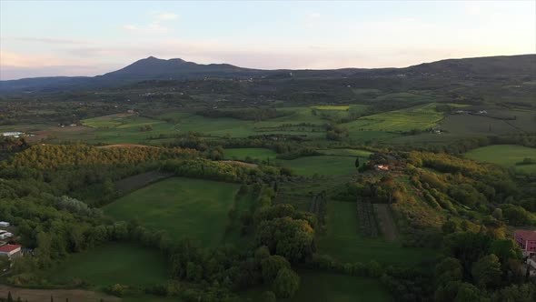 The Drone Flies Over the Wine Fields in Italy