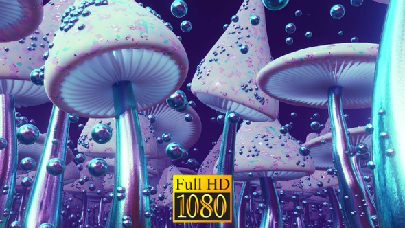 Mushroom Country HD