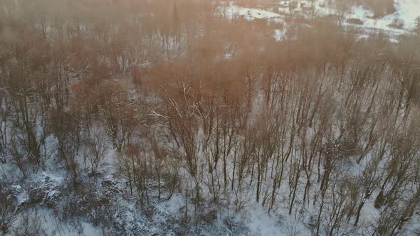 Aerial Top View Winter Panoramic Landscape with Snowy Forest in Heavy Snowfall