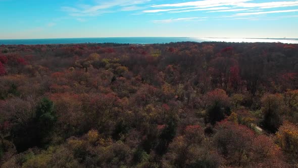 Autumn on Long Island C