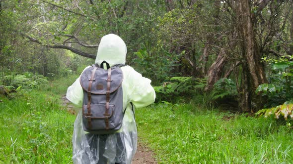 Adventurous Girl Hiking By Hawaii Kokee Nature Park Back View Happy Free Woman