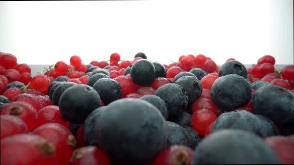 Wild Berries Red Currants and Black Lingonberries in Motion in Slow Motion