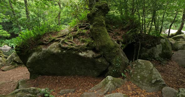 Roches du Diable, Querrien, Finistere department, Brittany, France