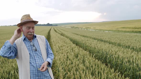 Senior Farmer Takes Off a Hat Takes Out a Handkerchief and Wipes Sweat in Field