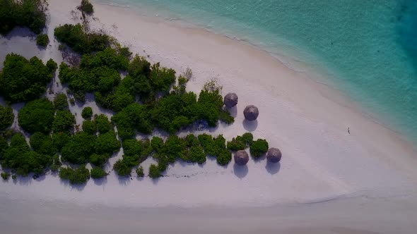 Aerial drone sky of exotic seashore beach wildlife by ocean and sand background