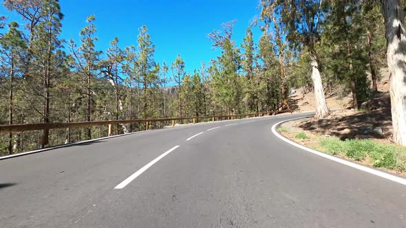 Cars on winding road, Tenerife, Spain