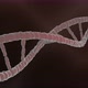 Rotation abstract DNA helix - VideoHive Item for Sale