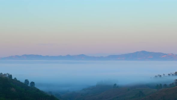 4K : Beautiful light of the dense fog and the sky at sunrise.