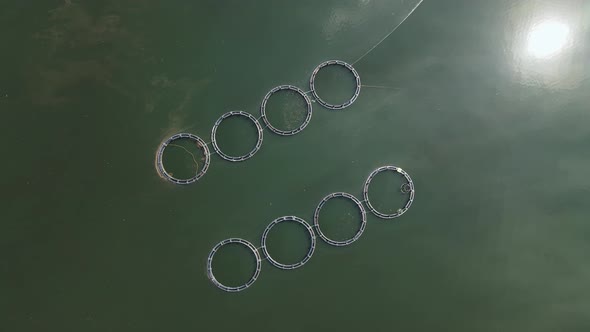 Aerial top view over a fish farm with lots of fish enclosures on cages